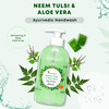 Four Seasons Neem Tulsi & Aloevera 250Ml | Deep Cleansing Ayurvedic Handwash (Pack Of 3)