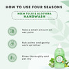 Four Seasons Neem Tulsi & Aloevera 250Ml | Deep Cleansing Ayurvedic Handwash (Pack Of 3)