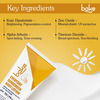 Bake Everyday Sunscreen Body Lotion Spf 70 Pa++++ For Sun Protection & Hydration