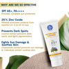 The Moms Co. Natural Daily Sunscreen (50 Gm)