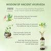 Sesa Ayurvedic Hair Care Juice - For Hair Fall Control & Hair Growth 1L