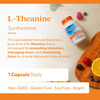 Doctor's Best L-Theanine Capsules | 90 Count