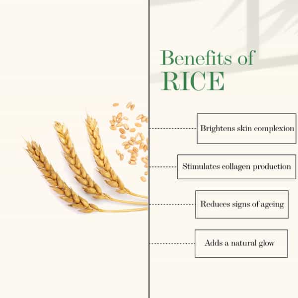 Good Vibes Rice Brightening Toner - 120Ml
