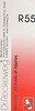 Dr. Reckeweg R 55 Injuries Healing Drops 22 Ml