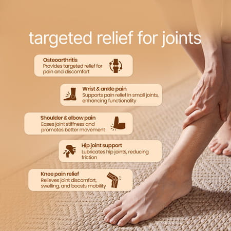 Boheco Glide+ Arthritis Capsules | Ayurvedic Joint Pain Relief | 60 Capsules