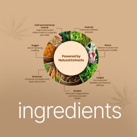 Boheco Glide+ Arthritis Capsules | Ayurvedic Joint Pain Relief | 60 Capsules