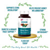 Bliss Welness Kidney Detox + Liver Detox 60+60 Veg Tablets