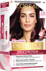L'Oreal Paris Excellence Creme 3.16 Burgundy (72ml + 100g) Hair Color Box Of 172 G