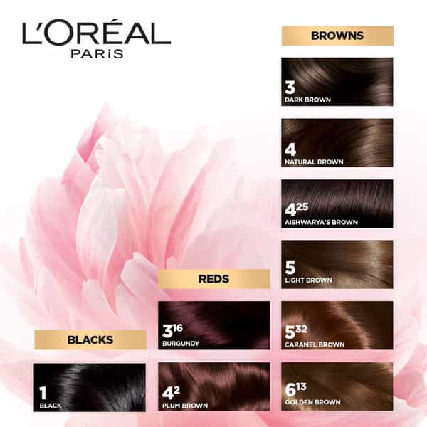 L'oreal Paris Excellence Creme 3.16 Burgundy (72Ml + 100G) Hair Color Box Of 172 G