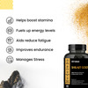 Nirvasa Shilajit Gold Capsules | 100% Pure Himalayan | Enhances Strength | Stamina & Power | 60n