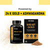 Nirvasa Shilajit Gold Capsules | 100% Pure Himalayan | Enhances Strength | Stamina & Power | 60n
