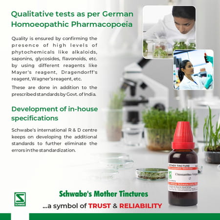 Dr. Willmar Schwabe India Damiana Mt 30ml