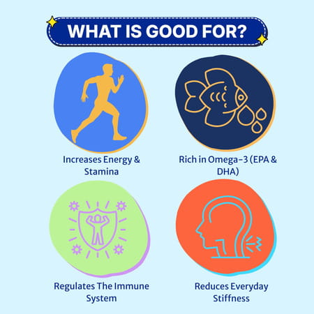 Healthbest Energybest Fish Oil Soft Gel Capsule-Omega 3|Increase Energy & Stamina|1000mg|60 Capsule