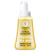 Ganeve London Citrus & Ginger Foaming Face Wash 225 Ml.