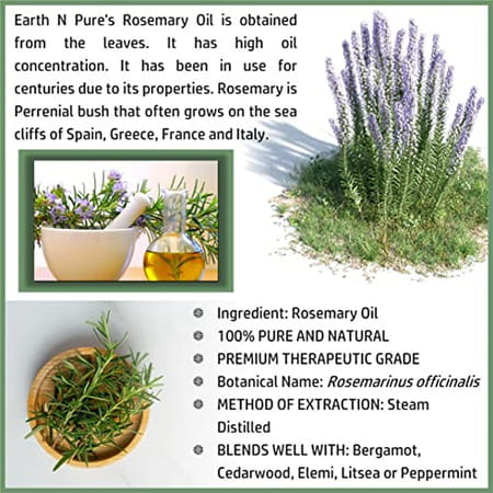 Earth N Pure Rosemary Essential Oil (50 Ml) (50 Ml)