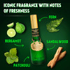 Brut Original Eau De Toilette (Edt) Perfume For Men Long-Lasting Masculine Fragrance 100Ml
