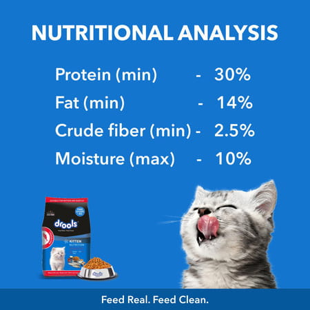 Drools Kitten Dry Cat Food | Mackerel Flavour 1 Kg With Free Container Pack