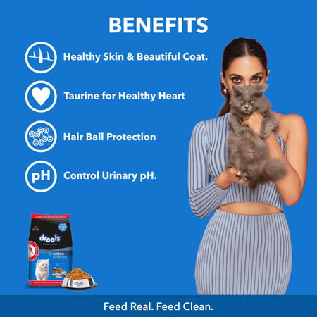 Drools Kitten Dry Cat Food | Mackerel Flavour 1 Kg With Free Container Pack