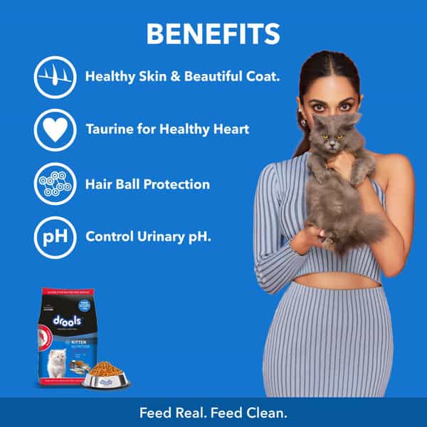 Drools Kitten Dry Cat Food | Mackerel Flavour 1 Kg With Free Container Pack