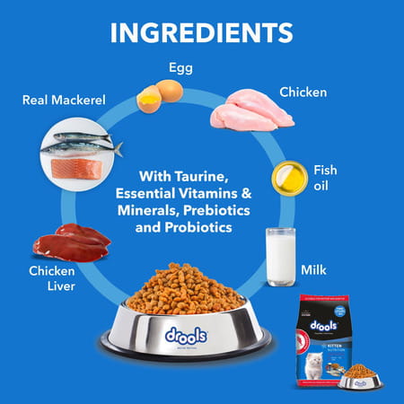 Drools Kitten Dry Cat Food | Mackerel Flavour 1 Kg With Free Container Pack