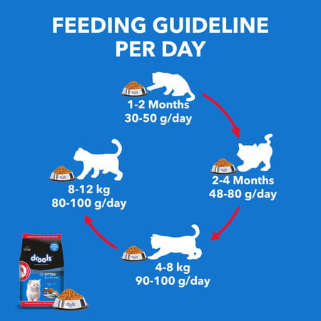 Drools Kitten Dry Cat Food | Mackerel Flavour 1 Kg With Free Container Pack