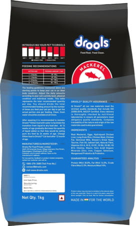 Drools Kitten Dry Cat Food | Mackerel Flavour 1 Kg With Free Container Pack