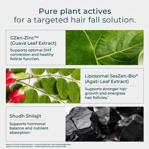 Oziva Hair Actives + Shilajit For Men Hair Supplement With Liposomal | 30 Effervescent Tablets