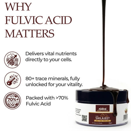 Nidco Shilajit Resin 50 Gm