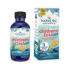 Nordic Naturals Children's Dha Xtra Omega 3 Arctic Cod Liver Fish Oil For Kids Berry Punch 60 Ml
