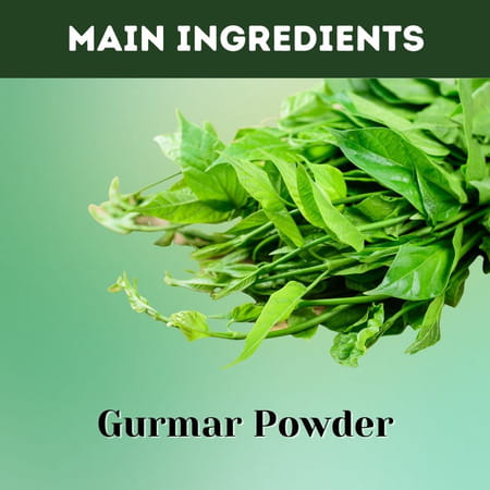 Herbal Hills Gurmar Powder - 1kg - Pack Of 2