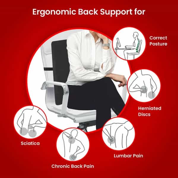 Dr Ortho Premium Orthopaedic Back Rest