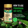 Zandu Punarnava Pure Herbs Kidney Care Capsules Bottle Of 60