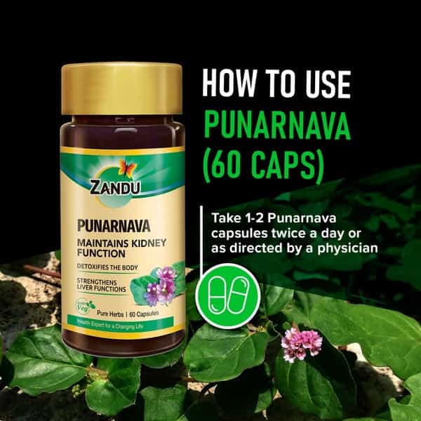 Zandu Punarnava Pure Herbs Kidney Care Capsules Bottle Of 60