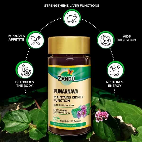 Zandu Punarnava Pure Herbs Kidney Care Capsules Bottle Of 60
