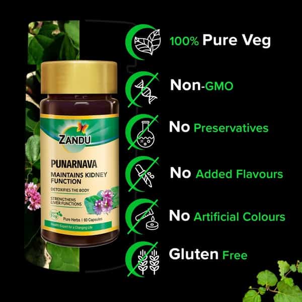 Zandu Punarnava Pure Herbs Kidney Care Capsules Bottle Of 60