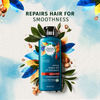 Herbal Essences Bio Renew Repair Herbal Oil Of Morocco Shampoo - 400Ml