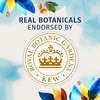 Herbal Essences Bio Renew Repair Herbal Oil Of Morocco Shampoo - 400Ml