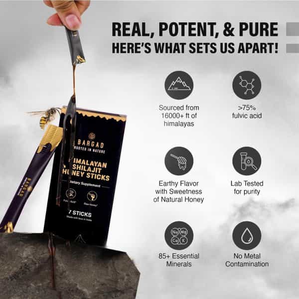 Bargad Himalayan Shilajit Honey Sticks - Pure Raw Honey & Fulvic Acid Supplement - 7N