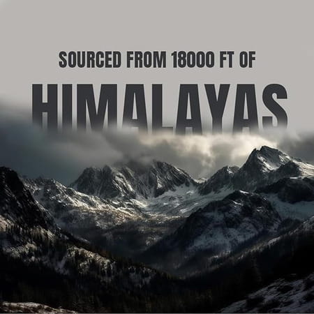 Bargad Himalayan Shilajit Honey Sticks - Pure Raw Honey & Fulvic Acid Supplement - 7n