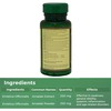 Medlife Essentials Amalaki - Immunity Booster Capsules - Natural Vitamin C - Bottle Of 30