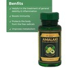 Medlife Essentials Amalaki - Immunity Booster Capsules - Natural Vitamin C - Bottle Of 30