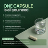Rasayanam Ashwagandha Ksm-66 Capsules For Stress | Energy & Recovery (120 Capsules | Pack Of 2)