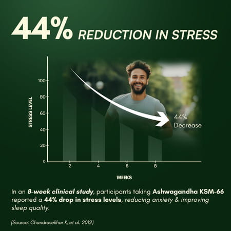 Rasayanam Ashwagandha Ksm-66 Capsules For Stress | Energy & Recovery (120 Capsules | Pack Of 2)