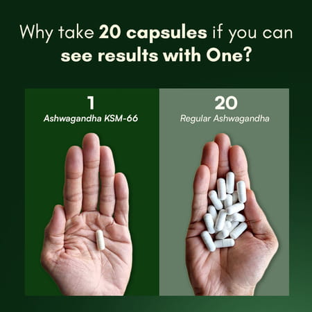 Rasayanam Ashwagandha Ksm-66 Capsules For Stress | Energy & Recovery (120 Capsules | Pack Of 2)