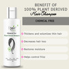 Ktein Natural Chemical Free Plant Derived Shampoo(200Ml)