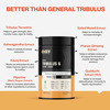 Myfitfuel Daily Protein Shake, 5 Protein, Whey Casein Calcium, Ashwagandha, Vitamins 750g, Chocolate