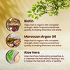Health Veda Organics Moroccan Argan Shampoo | Dry Hair, Dandruff, Hair Growth, Frizzy Hair (300 Ml)