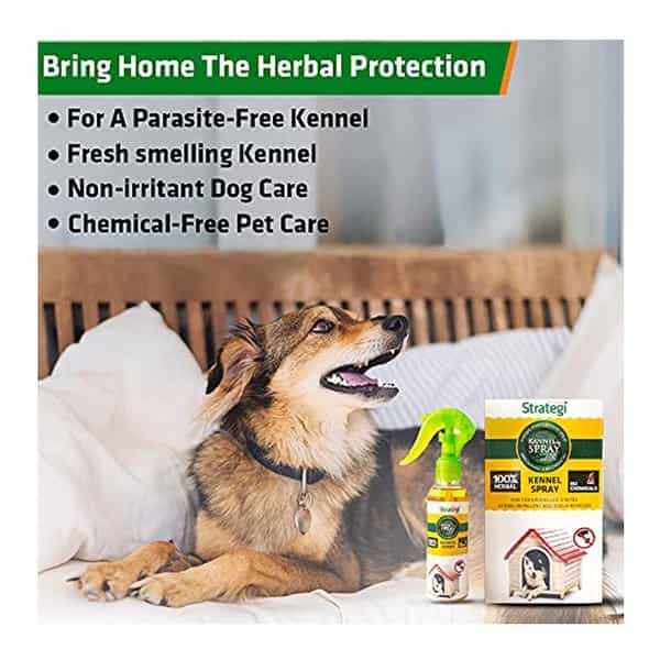 Herbal Strategi Kennel Spray Protection From Ticks Fleas Lice & Mites 100 Ml