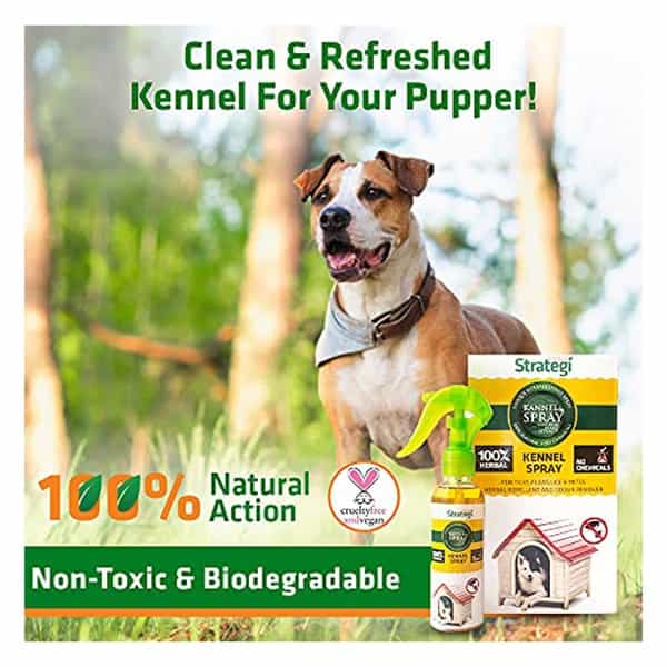Herbal Strategi Kennel Spray Protection From Ticks Fleas Lice & Mites 100 Ml