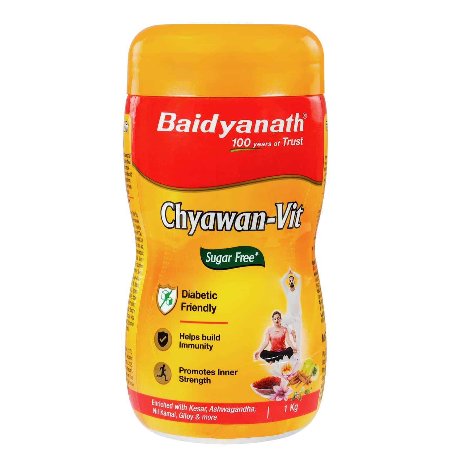 Baidyanath Sugarfree Chyawan Vit 1 Kg
